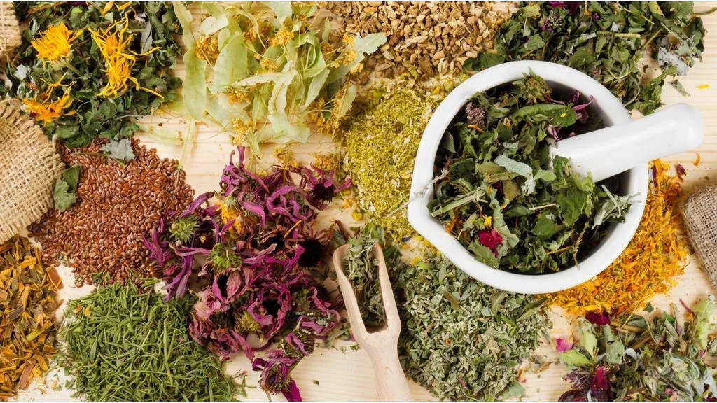 Chinesische Phytotherapie